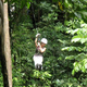 Image for article titled Bellavista's Biodigesting Treehouses Are Endor on Earth